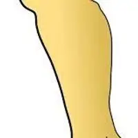 Picture for Leg (Bacak)