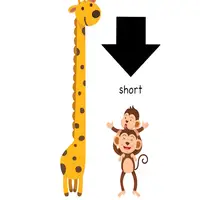 Picture for Short (Kısa)