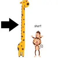 Picture for Tall (Uzun (boy))