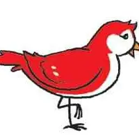 Picture for Bird (Kuş)