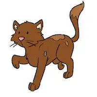 Picture for Cat (Kedi)