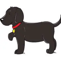 Picture for Dog (Köpek)