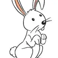 Picture for Rabbit (Tavşan)