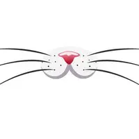 Picture for Whiskers (Kedi bıyığı)