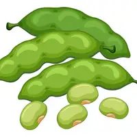 Picture for Bean (Fasulye)