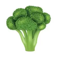 Picture for Broccoli (Brokoli)