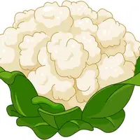 Picture for Cauliflower (Karnabahar)