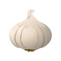 Picture for Garlic (Sarımsak)