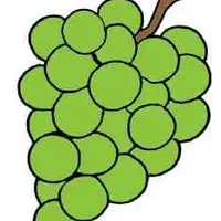 Picture for Grape (Üzüm)