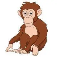 Picture for Chimpanzee (Şempanze)
