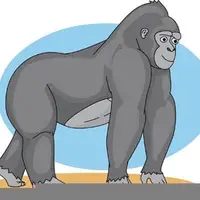 Picture for Gorilla (Goril)