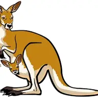 Picture for Kangaroo (Kanguru)