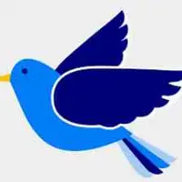 Picture for Bird (Kuş)