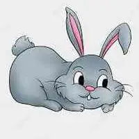 Picture for Rabbit (Tavşan)
