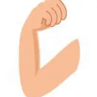 Picture for Arm (Kol)