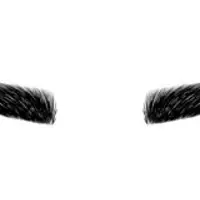Picture for Eyebrow (Kaş)