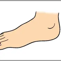 Picture for Foot (Ayak)