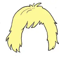 Picture for Hair (Saç)