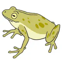 Frog (Kurbağa) görseli
