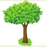 Tree (Ağaç) görseli
