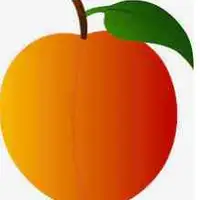 Picture for Peach (Şeftali)