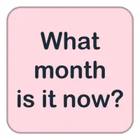Picture for What month is it now? (Şimdi hangi aydayız?)