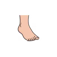 Picture for Foot (Ayak)