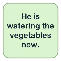 Picture for He is watering the vegetables now. (Şimdi sebzeleri suluyor.)