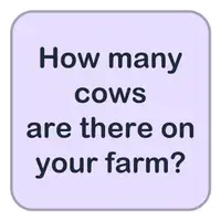 Picture for How many cows are there on your farm? (Çiftliğinizde kaç inek var?)
