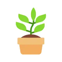 Picture for Plant (Bitki)