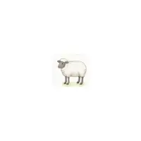 Picture for Sheep (Koyun)