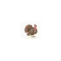 Picture for Turkey (Hindi)