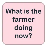 Picture for What is the farmer doing now? (Çiftçi şimdi ne yapıyor?)