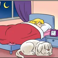 Good night (İyi geceler) görseli