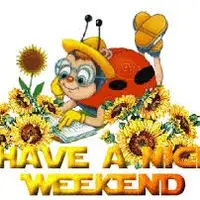 Have a nice weekend (İyi haftasonları) görseli