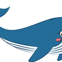 Is the whale blue? (Balina mavi mi?) görseli