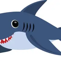 Shark (Köpekbalığı) görseli