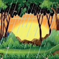 Rainforest (Yağmur ormanı) görseli