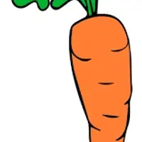 Picture for Carrot (Havuç)