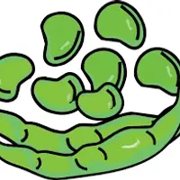 Bean (Fasulye) görseli