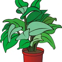 Plant (Bitki,dikmek) görseli