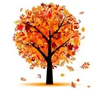 Picture for Autumn (Sonbahar)