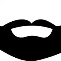 Picture for Beard (Sakal)