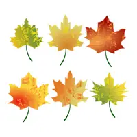 Autumn (Sonbahar) görseli