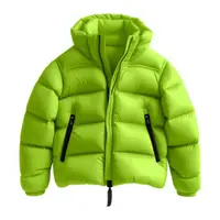 Coat (Palto) görseli