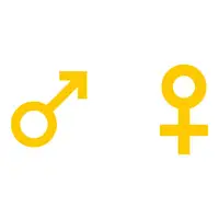 Gender (Cinsiyet) görseli