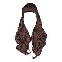 Hair (Saç) görseli