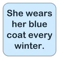 She wears her blue coat every winter. (O her kış mavi montunu giyer.) görseli