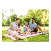 Picture for Having a picnic (Piknik yapma)
