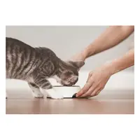 Picture for Taking care of a pet (Evcil hayvanla ilgilenme)
